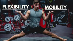 Harnessing the Power of Flexibility and Mobility in Everyday Life